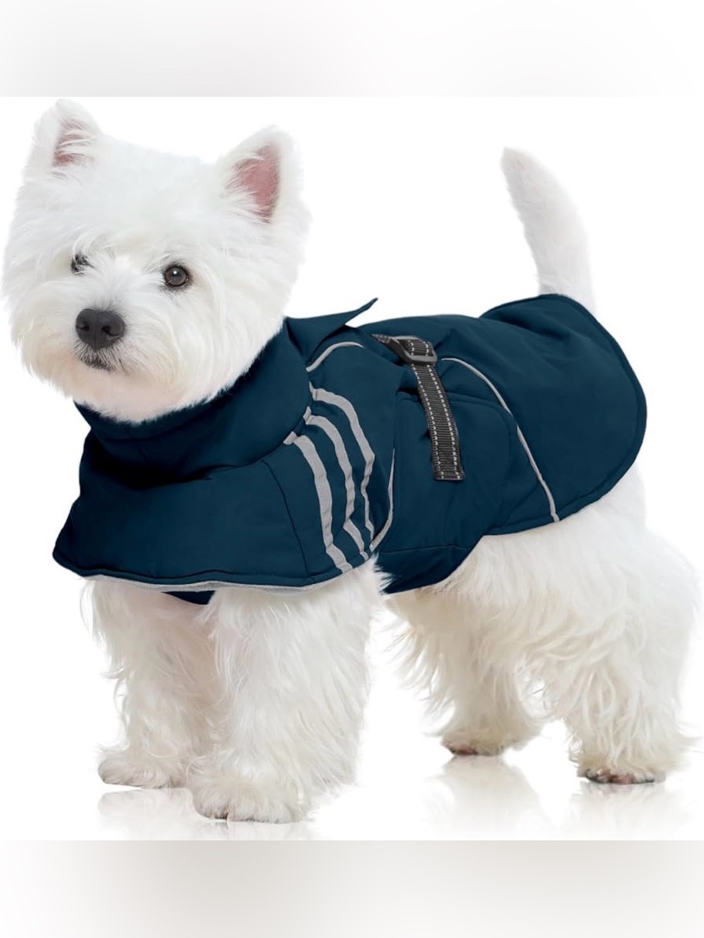 Reflective Navy Dog Waterproof Jacket with Buckle Closure